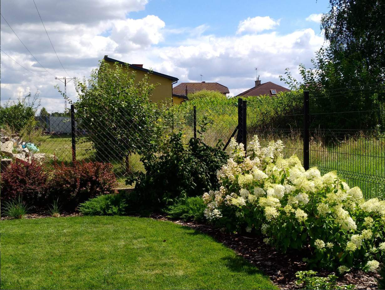 projekty zieleni miejskiej