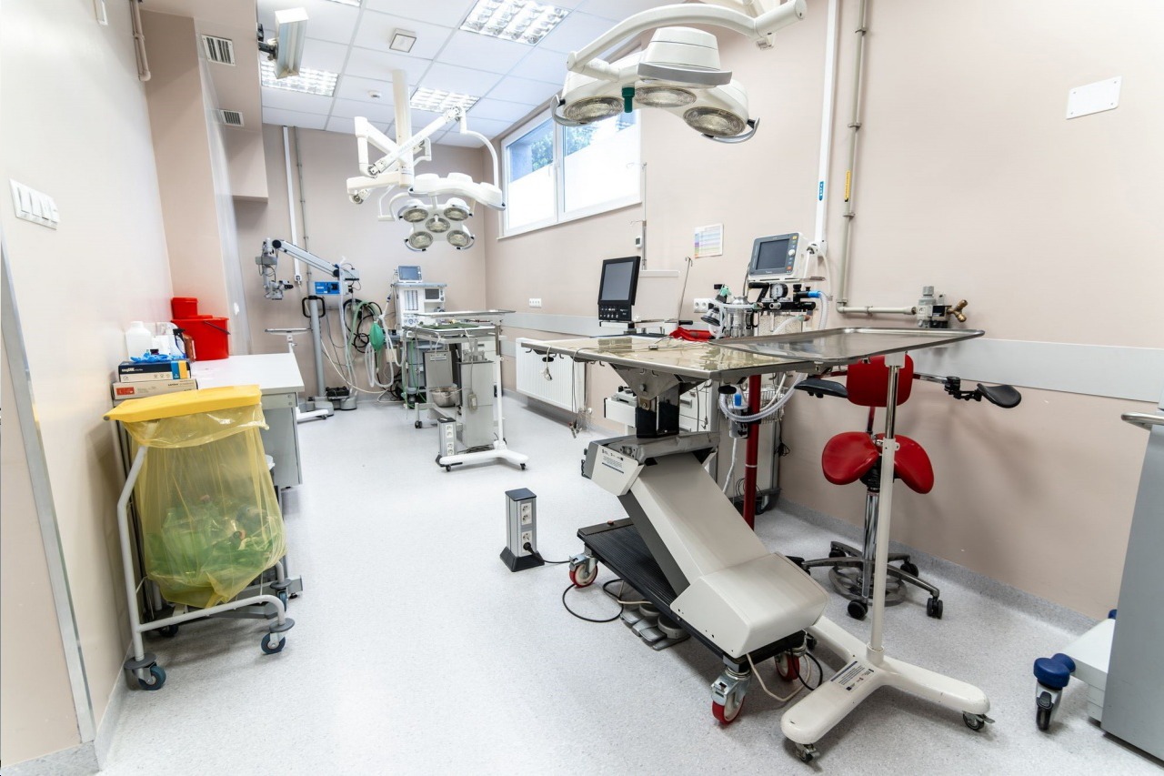 paszport i czipy dla zwierząt