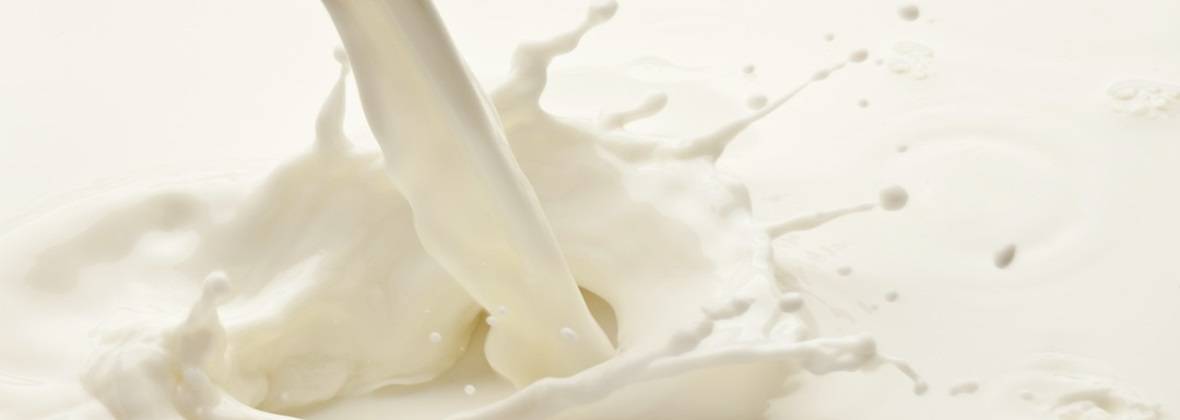 Amait Anna Dunaj - Gospodarstwo ekologiczne