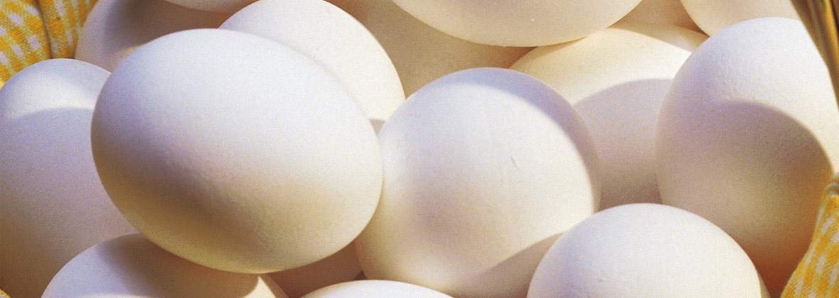 Delegs PHU Jarosław Klekot