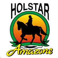 Holstar sp. z o.o. - logo