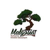 Hurtownia Kwiatów Małgosia Małgorzata Skolimowska - Rośliny sztuczne