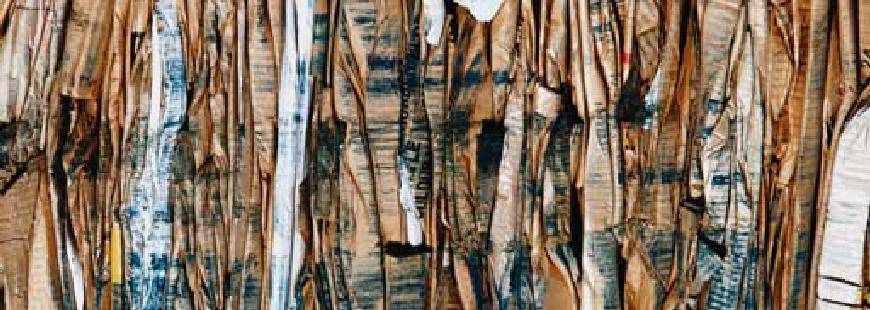 Dracewicz Recykling Cezary Dracewicz