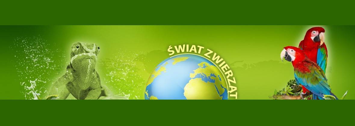 Sklep Zoologiczny "ŚWIAT ZWIERZĄT" Krawczyński Tomasz