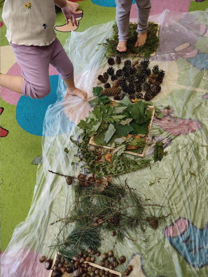 przedszkole prywatne, przedszkole niepubliczne, edukacja przedszkolna