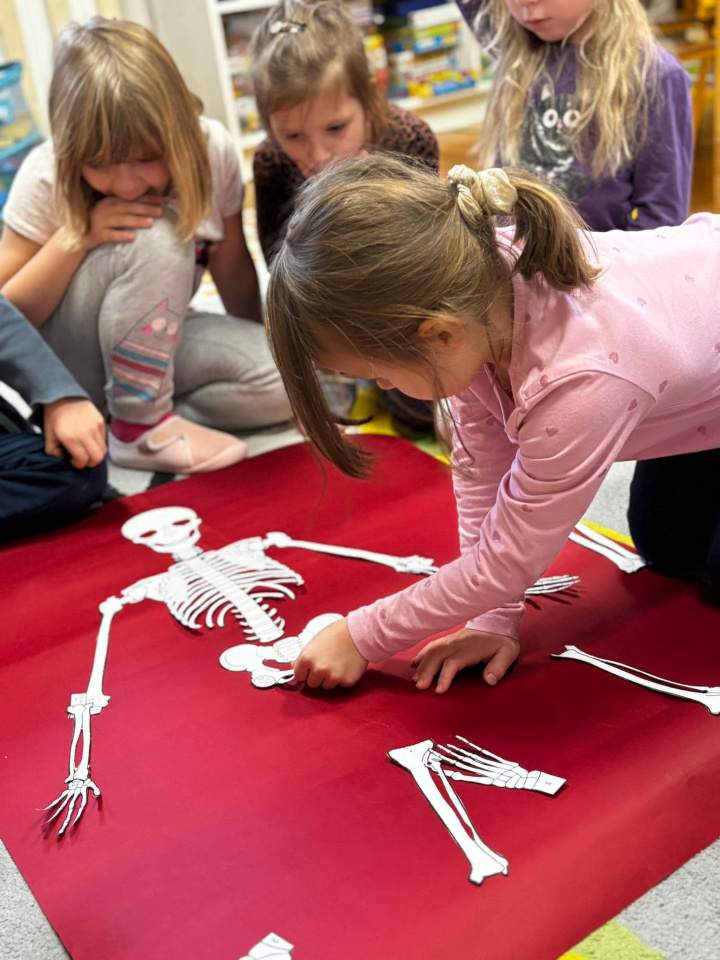 niepubliczne przedszkole17