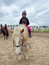 nauka jazdy na koniu