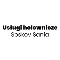 Usługi holownicze Soskov Sania - Pomoc drogowa