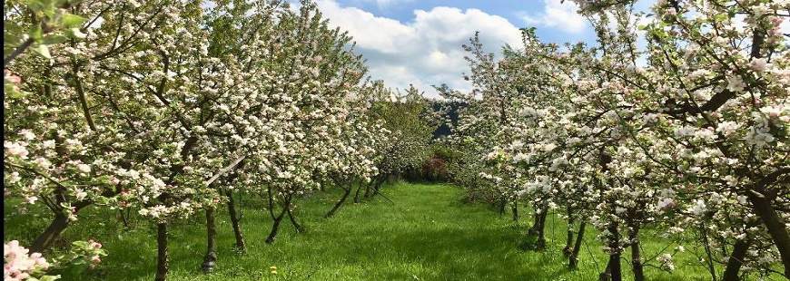 Ranczo Rozwój Relaks Magdalena Martynowska