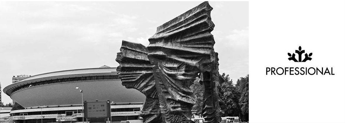 Professional Kancelaria podatkowo-księgowa Aneta Płysiuk