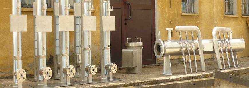 Pawspaw Paweł Arażny