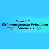 Ste-Dal Elektromechanika pojazdowa Stefan Żółwiński - Elektronika samochodowa