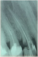 Klinika Stomatologii i Implantologii P. Viscardi