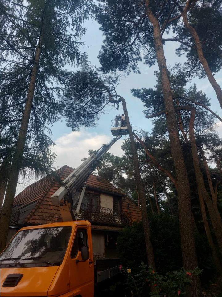 usługi podnośnik koszowym