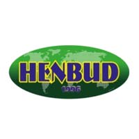 PB "HENBUD" - Henryk Tąporowski - Kostka brukowa