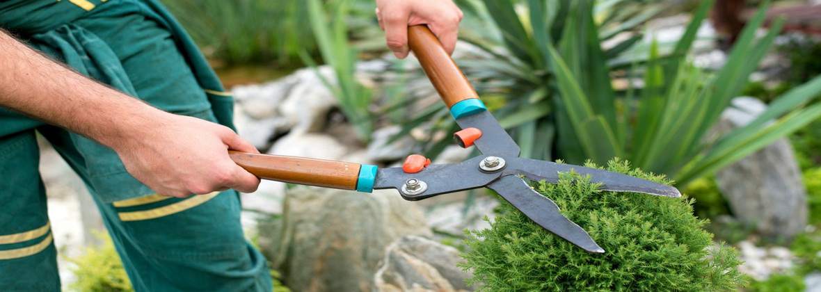 Vena sp.j Bartnikiewicz i S-ka