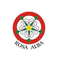 Rosa Alba Gabinet Okulistyczny - Optycy