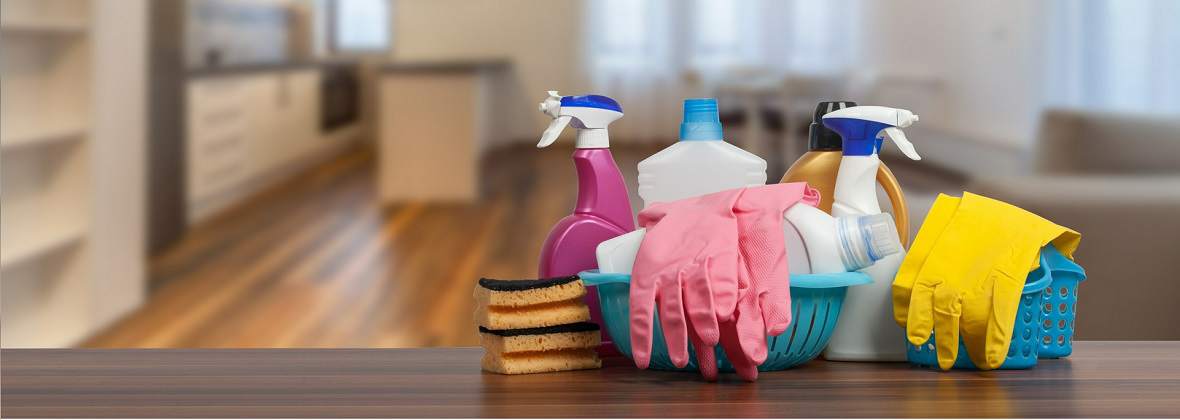 Novo Prime Mariana Rak