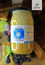 miód z kwiatów borówki