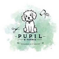 Pupil w Formie Tomaszczyk Anna - Zwierzęta domowe