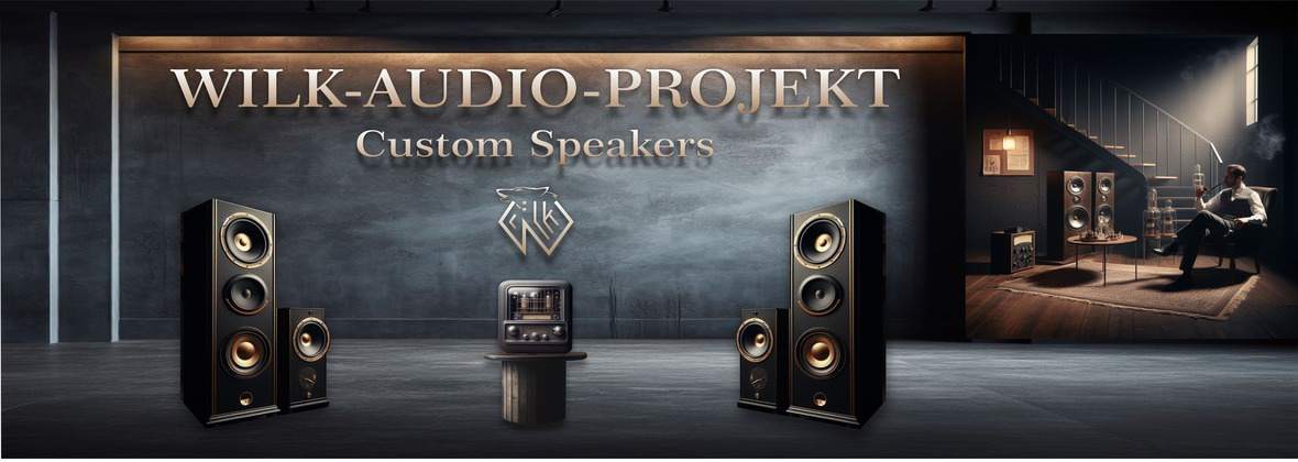 Wilk-Audio-projekt Paweł Stefański