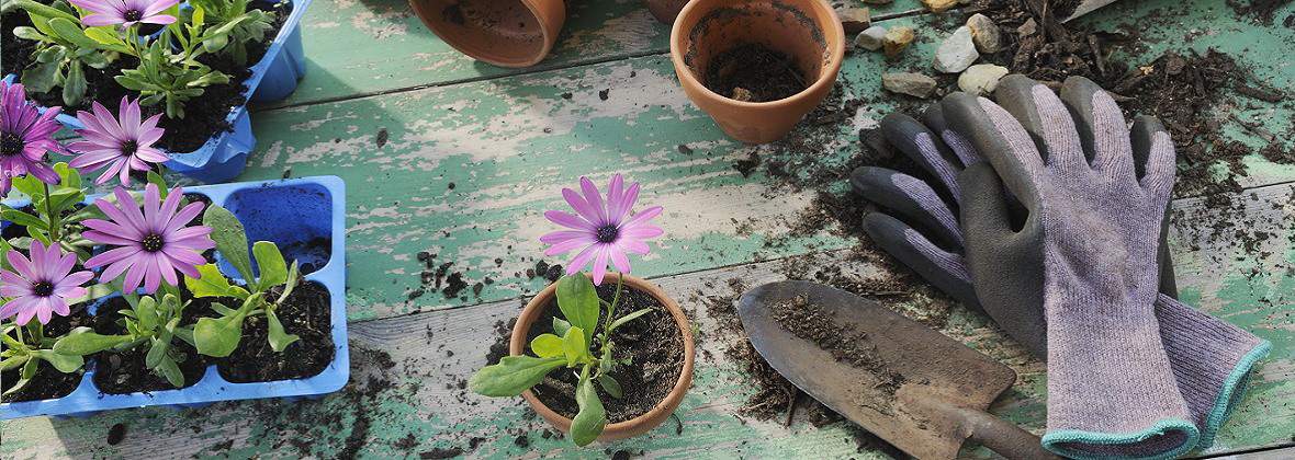 Green Go Golińska Sp. z o.o.