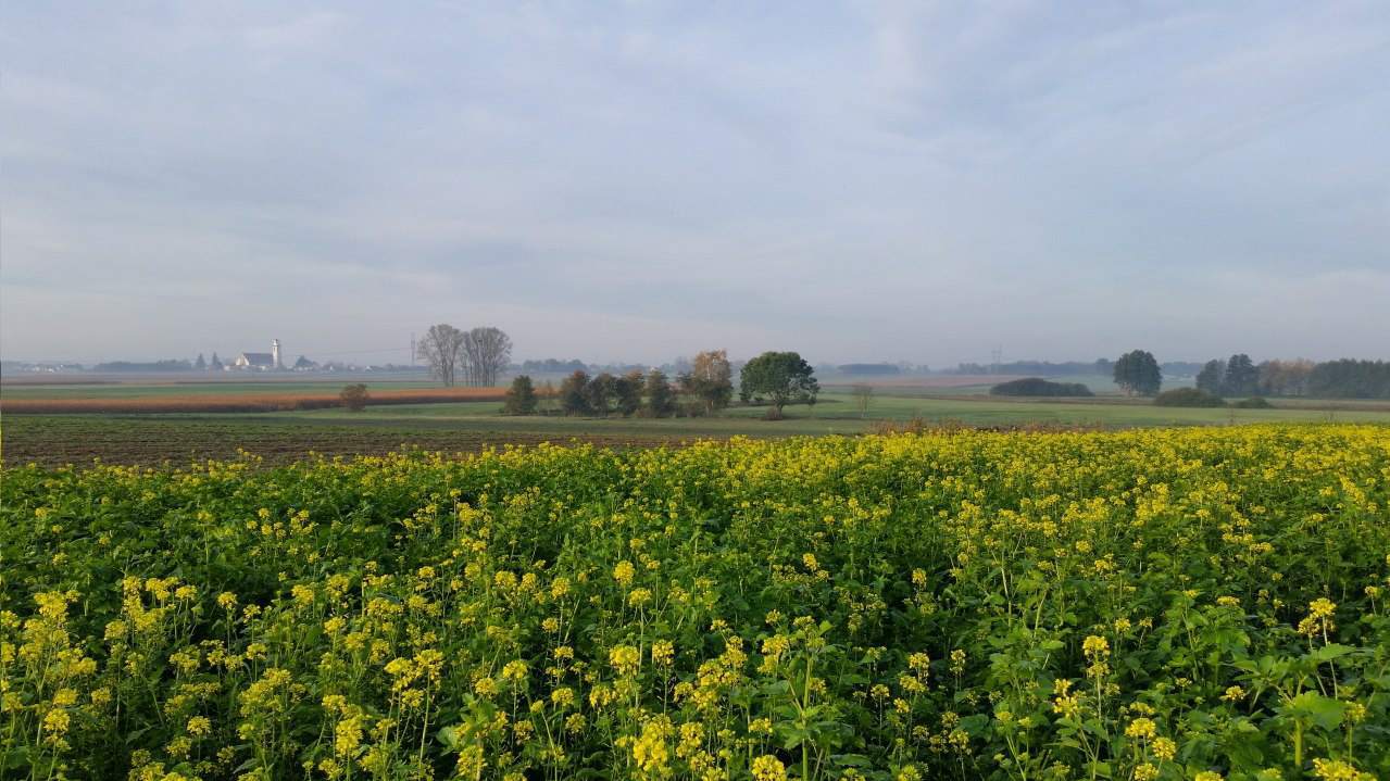 działki na sprzedaż