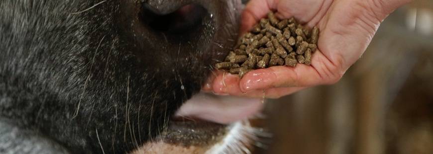 PHU "J.N.D" Jarosław Niewiarowski