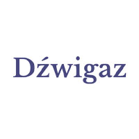 Dźwigaz - Kompleksowe usługi instalacyjne, pogotowie techniczne, Lublin