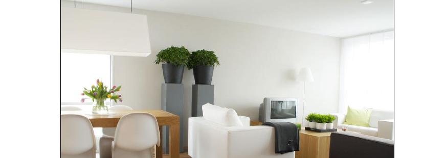 Complex-Bud Paweł Sarna