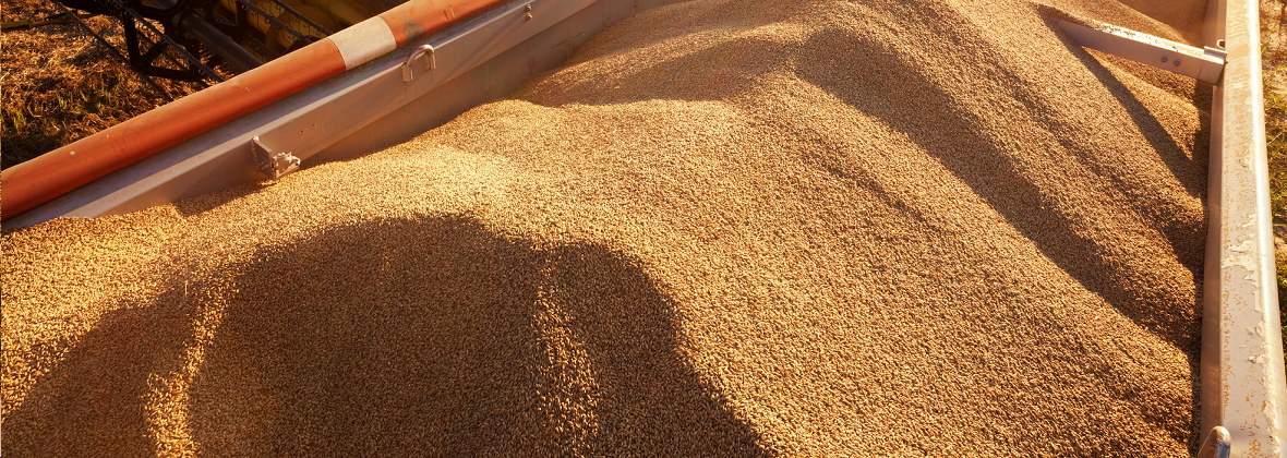 Momityco Maciej Bławat