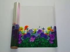 folia poliestrowa pet