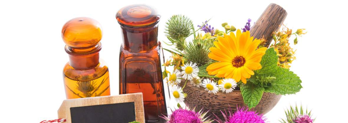 Panaceum Sklep Zielarsko Medyczny