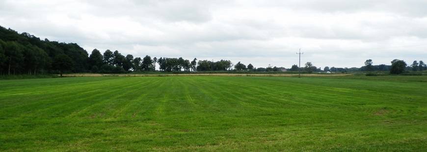 Firma Usługowo - Ogrodnicza "Kalina" Halina Samborska