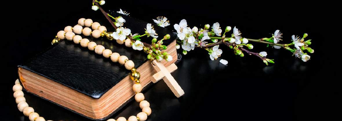 Marek Gzel Merito - swietymarek.com