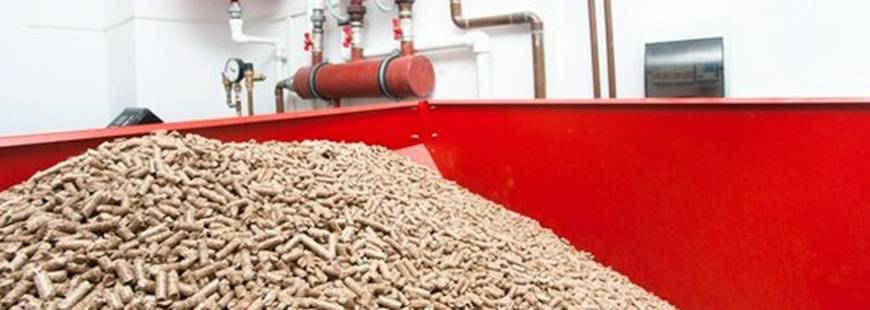 Agro Corn Jarosław Piernik