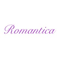 Romantica Sala Bankietowa, Organizacja Imprez - Organizacja imprez masowych