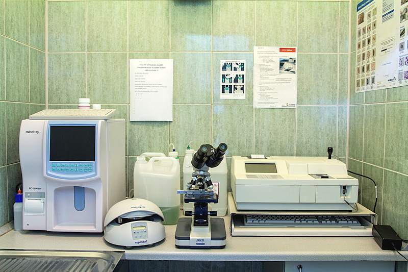 leczenie zwierząt domowych