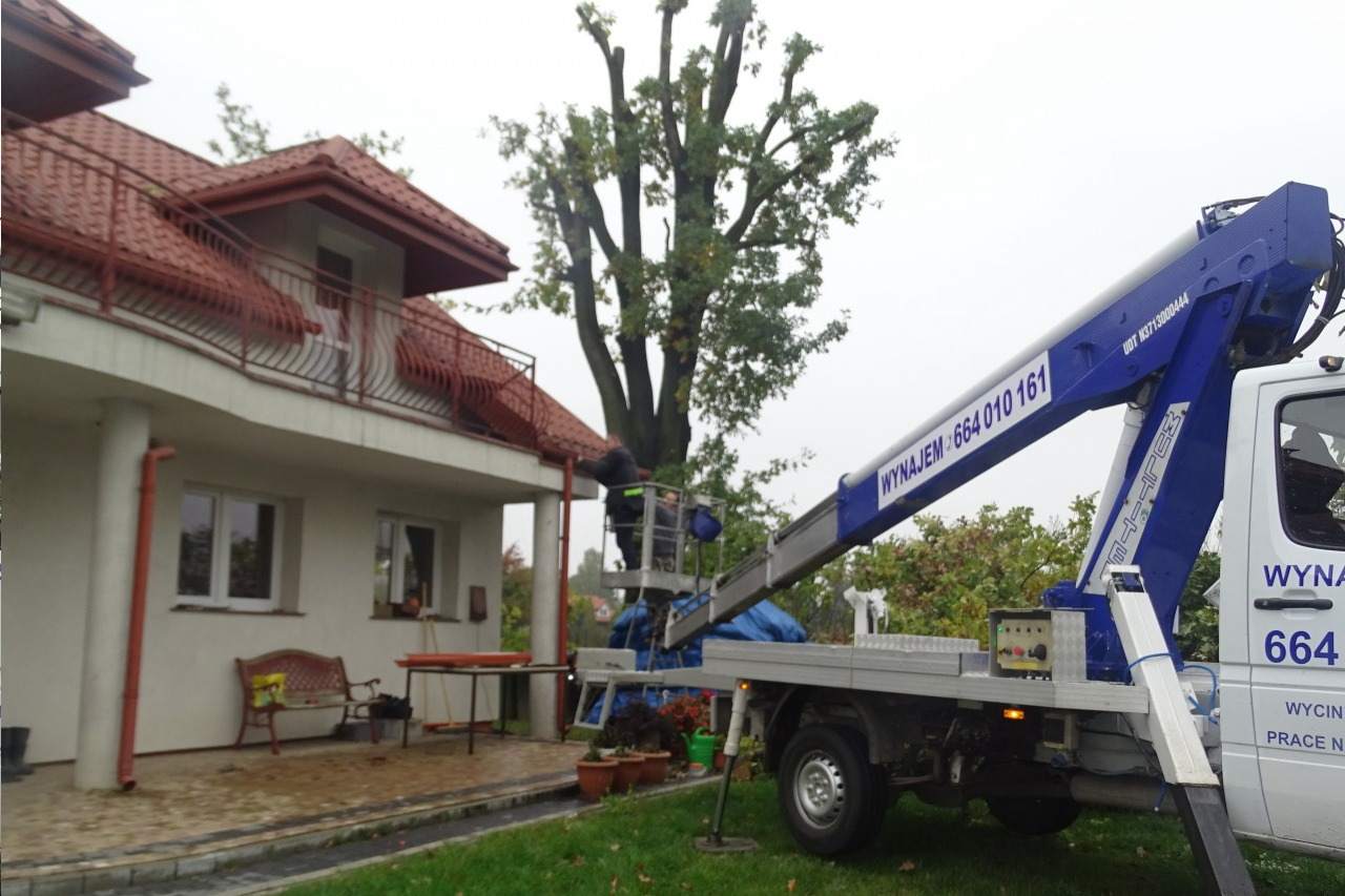 wynajem podnośników