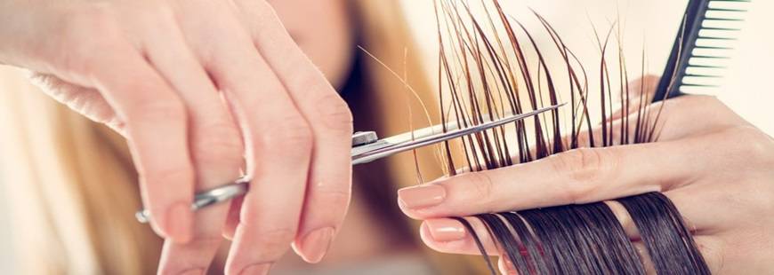 Wioletta Branicka Planeta Fryzur