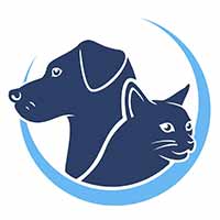 Mobilny fizjoterapeuta zwierząt Fizjoszafran Joanna Szafran - Rehabilitacja