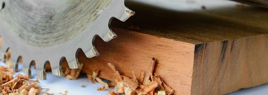 Gradar Dariusz Gradowicz