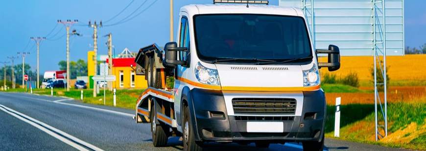 Firma Handlowo Usługowa Michał Wiśniewski