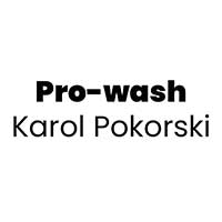 PROWASH Pokorski - logo