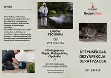 usługi DDD