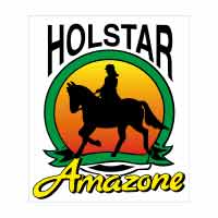 Holstar sp. z o.o. - logo
