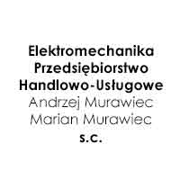 Elektromechanika Przedsiębiorstwo Handlowo-Usługowe Andrzej Murawiec, Marian Murawiec s.c. - Elektronika samochodowa