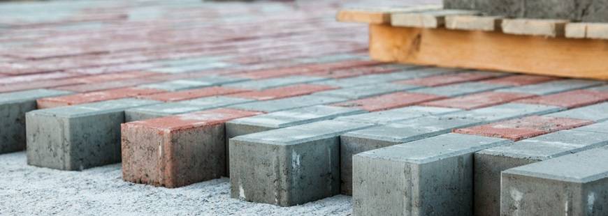 Olbruk Andrzej Zięba