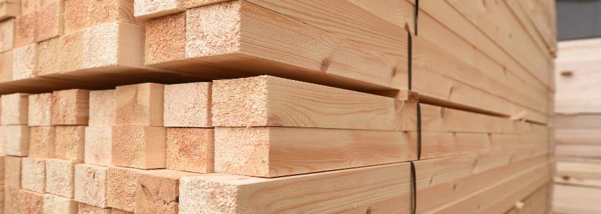 Tartak Elektryczny Ryszard Lewandowski