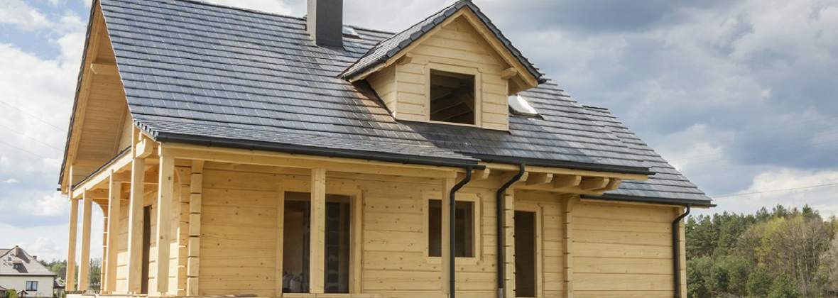 Carpentrius Tomasz Nowak